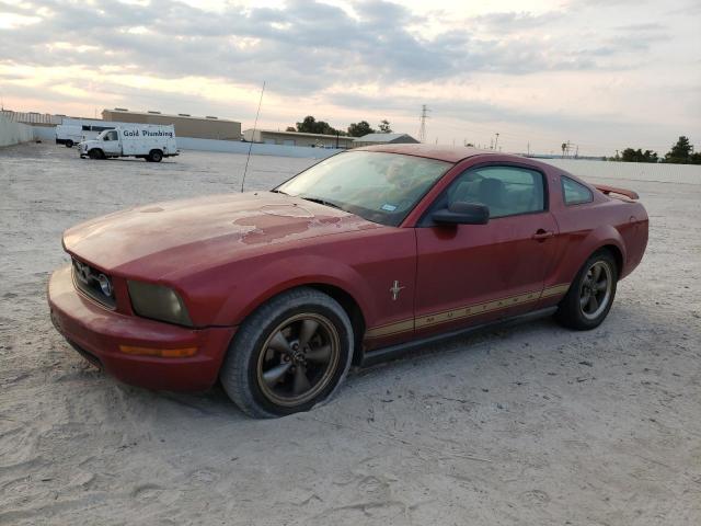 FORD MUSTANG 2006 1zvft80n465161374