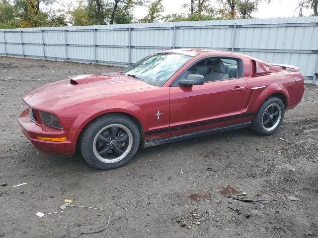 FORD MUSTANG 2006 1zvft80n465166686