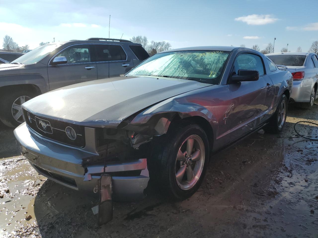 FORD MUSTANG 2006 1zvft80n465181320