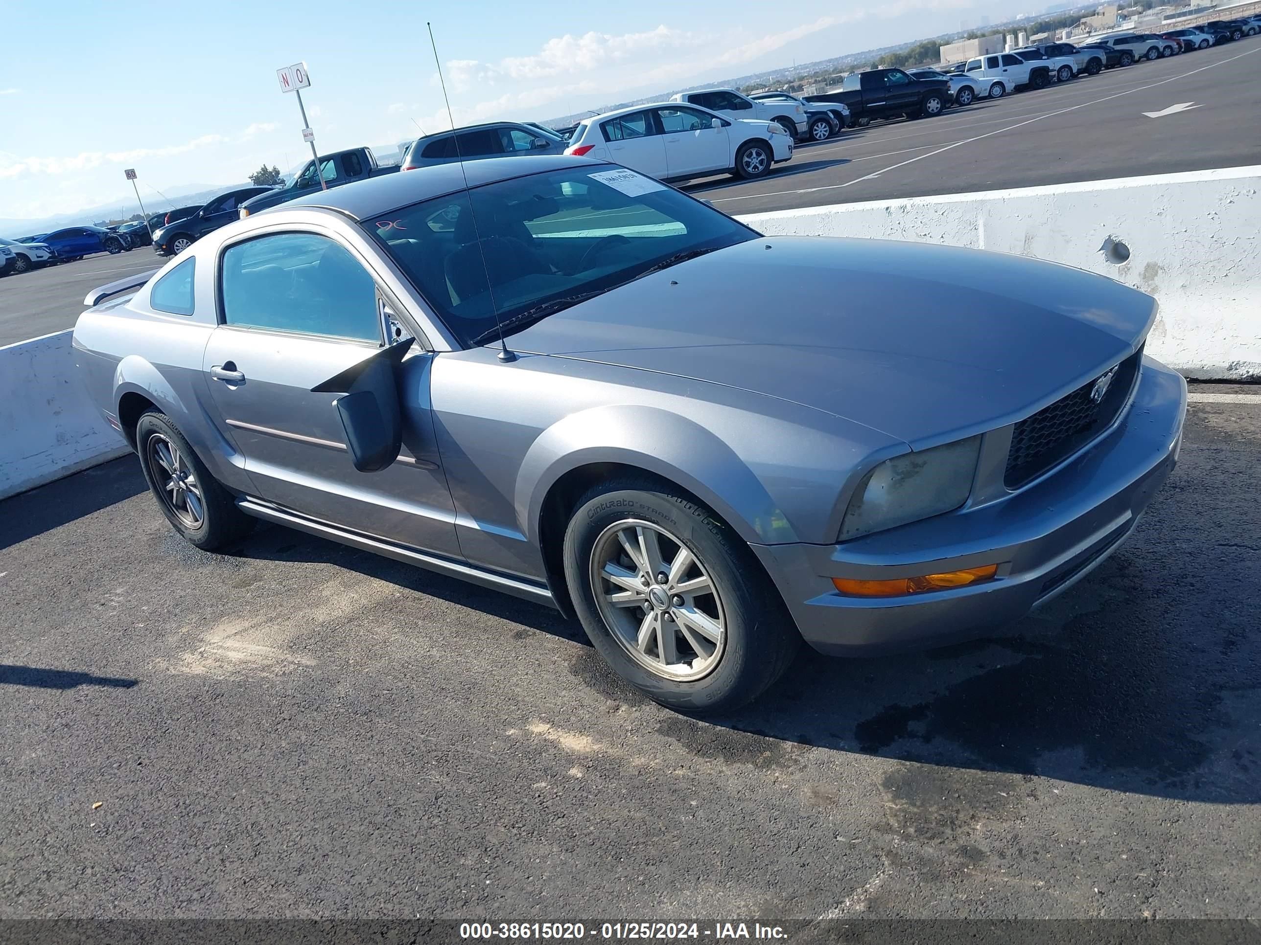 FORD MUSTANG 2006 1zvft80n465189465