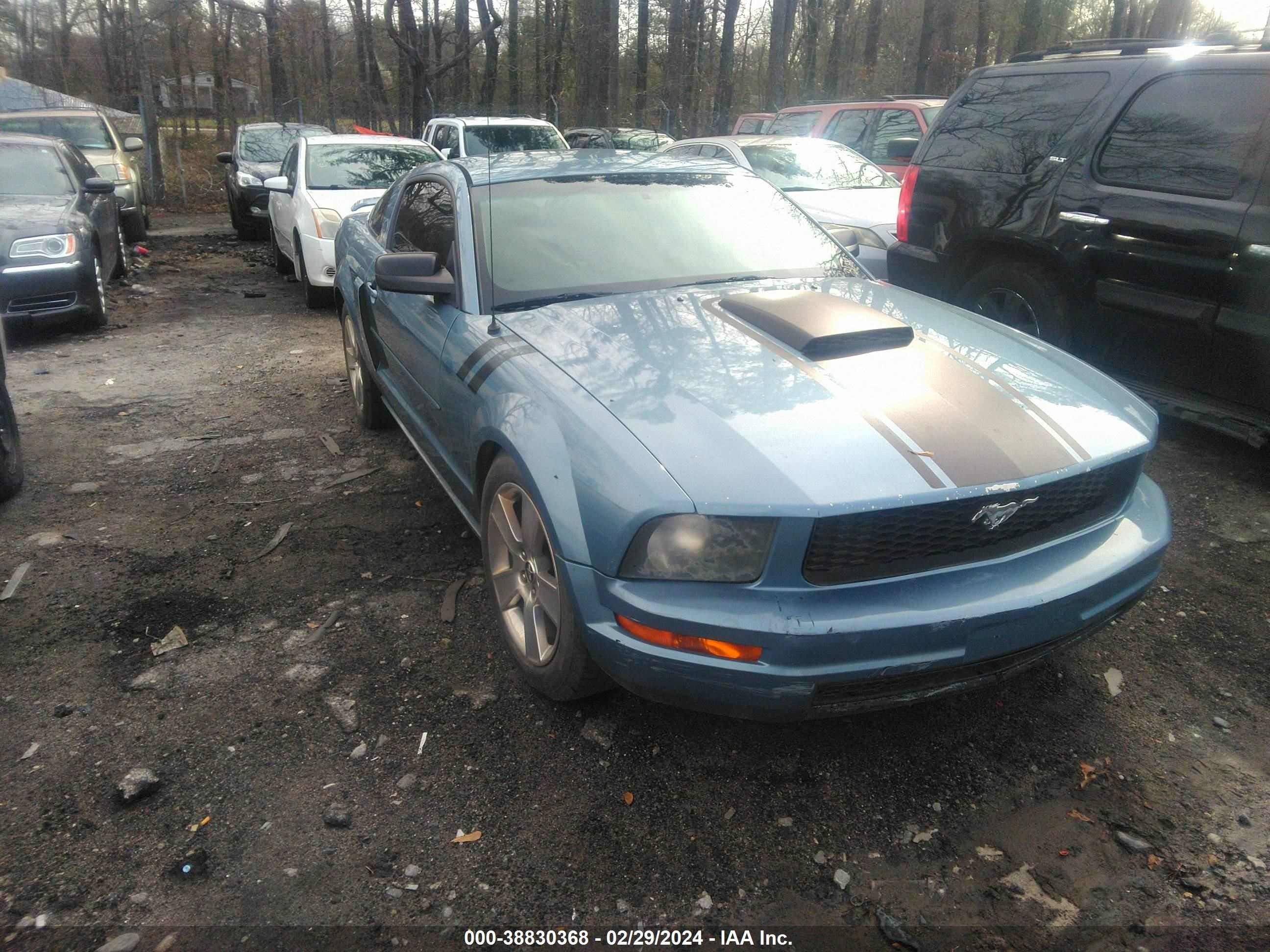 FORD MUSTANG 2006 1zvft80n465241970