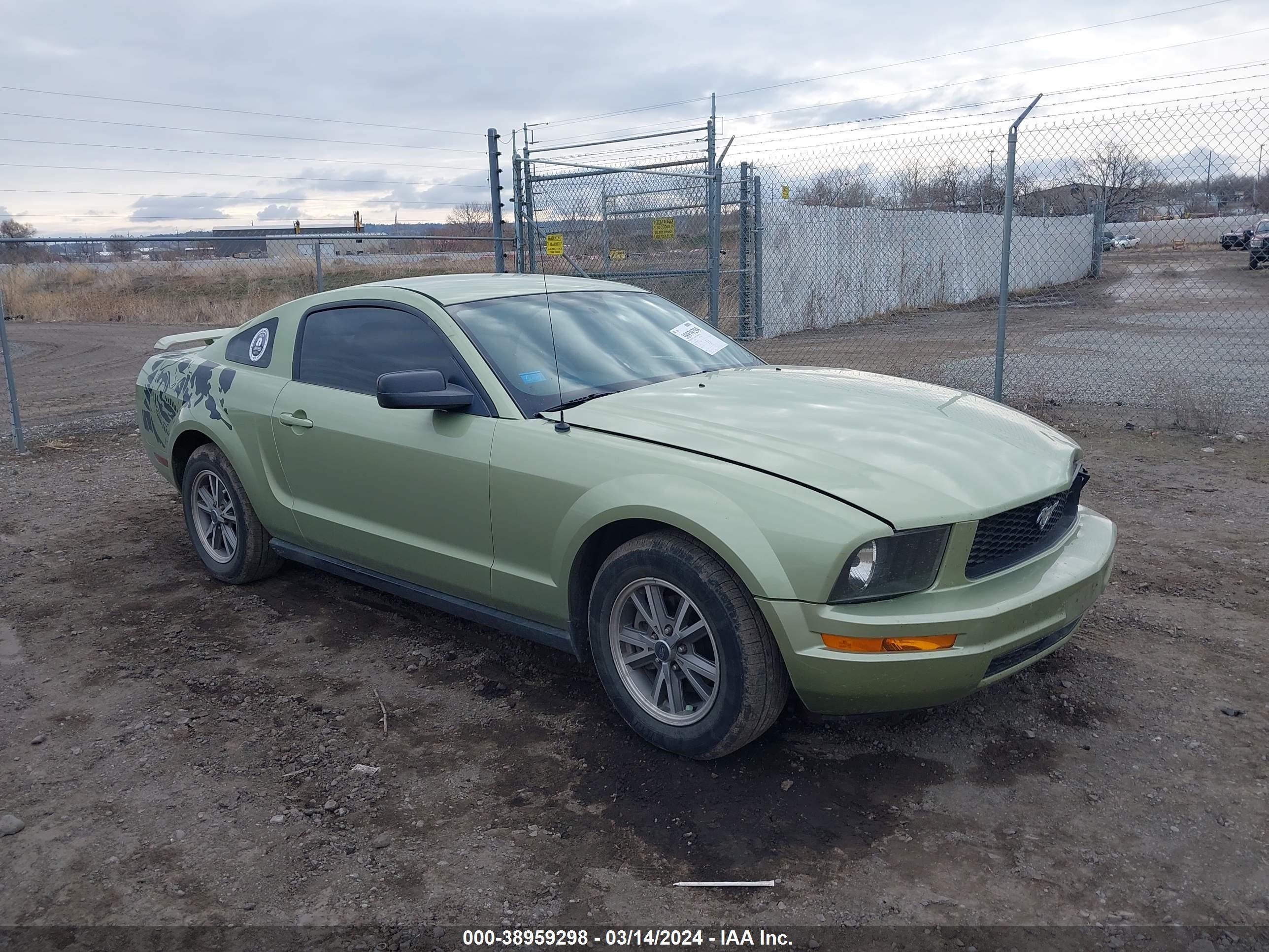 FORD MUSTANG 2005 1zvft80n555102915