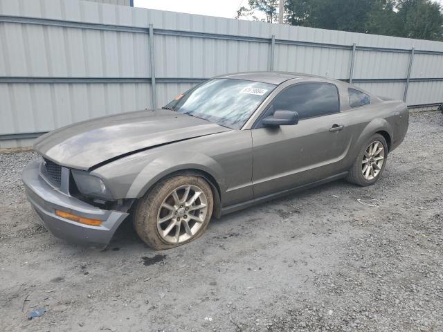 FORD MUSTANG 2005 1zvft80n555130682