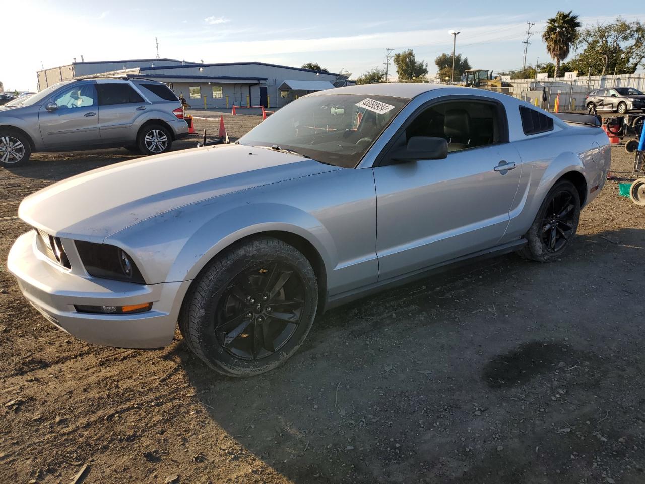 FORD MUSTANG 2005 1zvft80n555130763