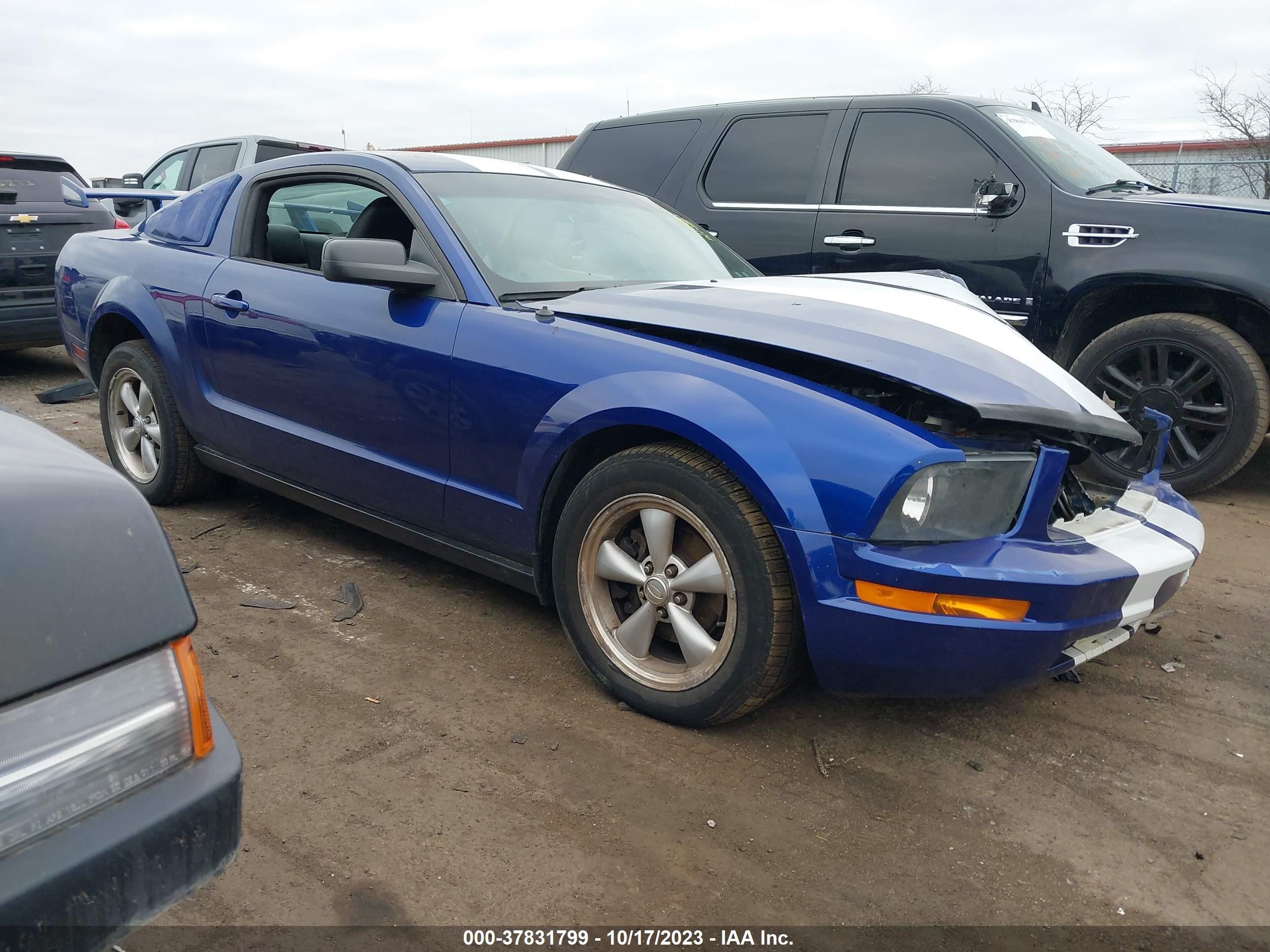 FORD MUSTANG 2005 1zvft80n555141018