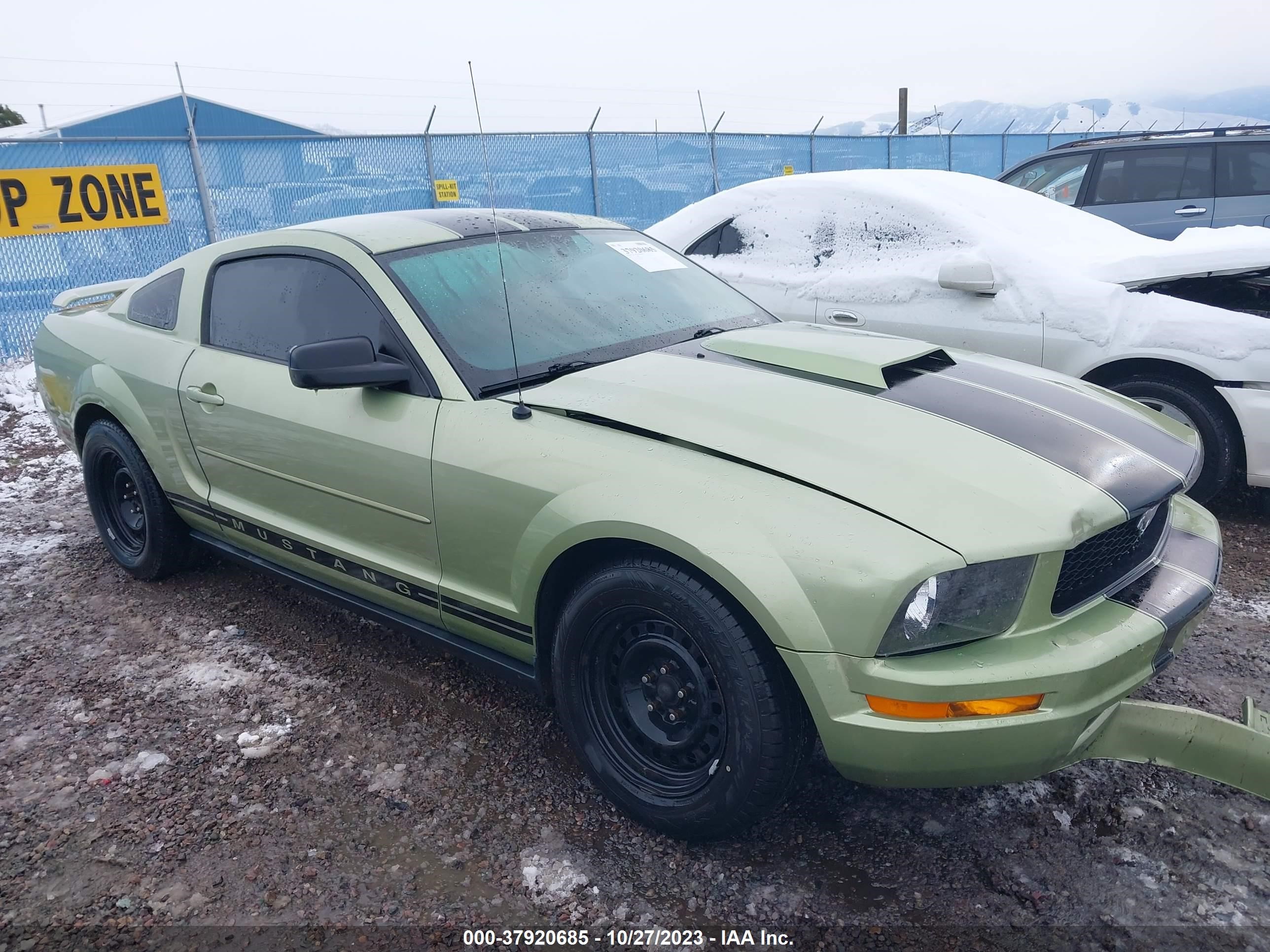 FORD MUSTANG 2005 1zvft80n555154187