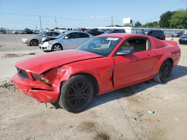 FORD MUSTANG 2005 1zvft80n555158319