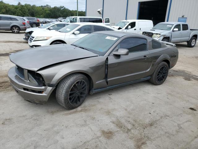 FORD MUSTANG 2005 1zvft80n555165836