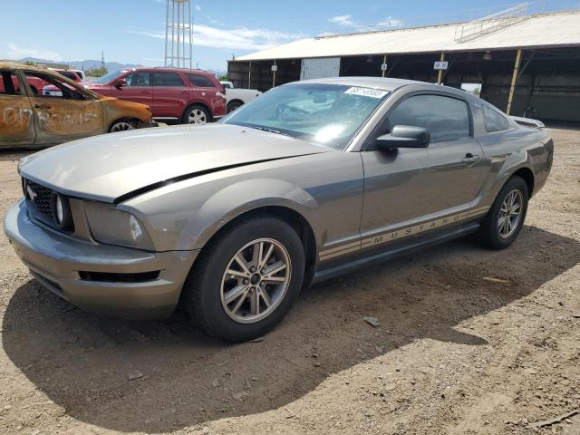 FORD MUSTANG 2005 1zvft80n555220267