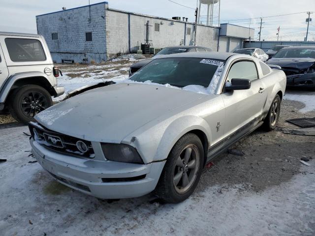 FORD ALL MODELS 2006 1zvft80n565110790