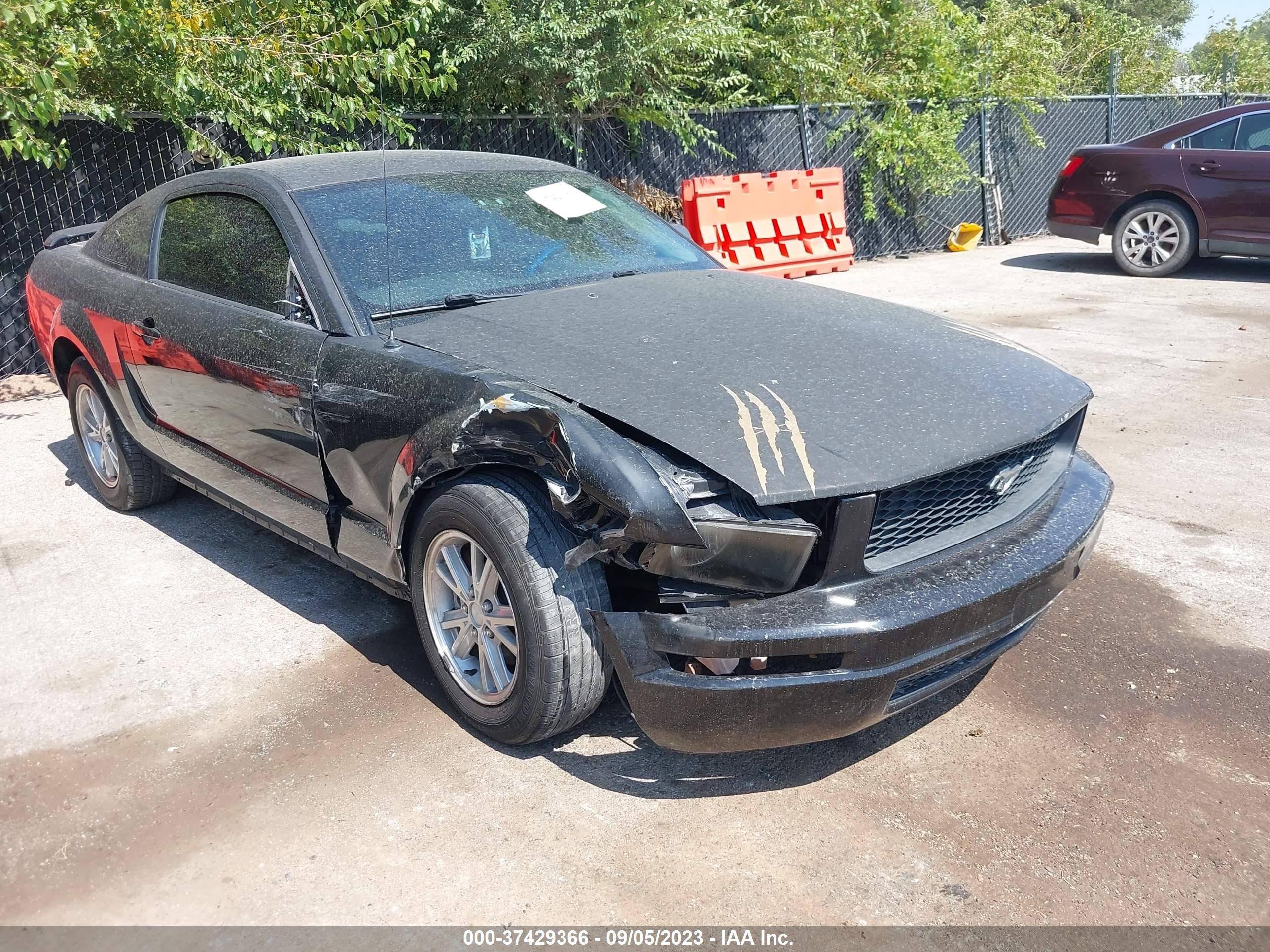 FORD MUSTANG 2006 1zvft80n565168074