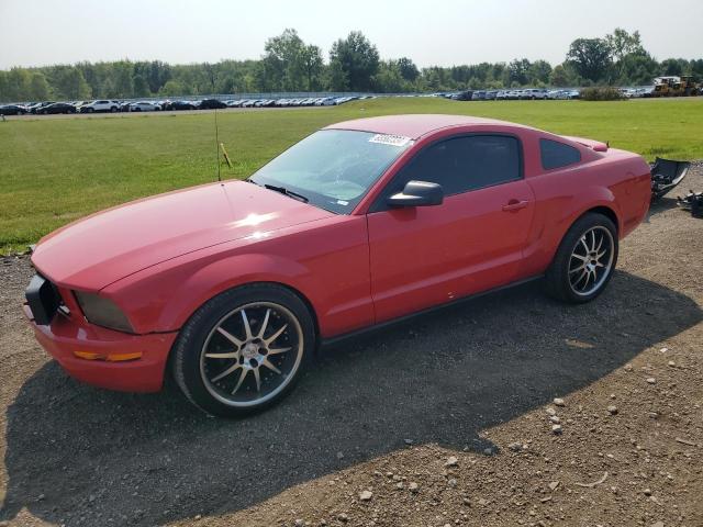 FORD MUSTANG 2007 1zvft80n575350309