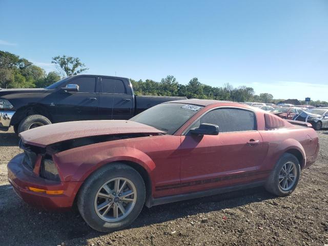 FORD MUSTANG 2005 1zvft80n655118301