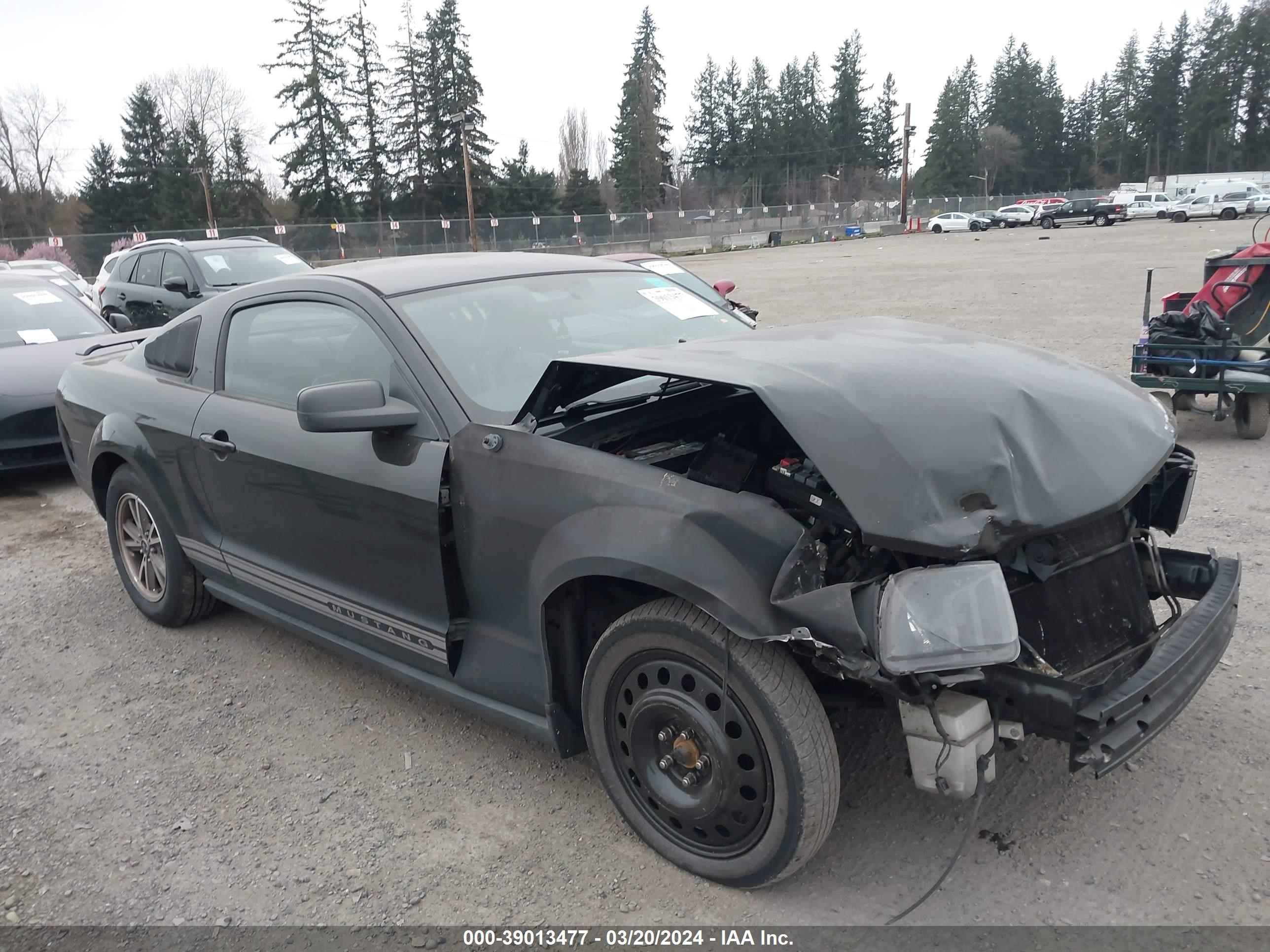 FORD MUSTANG 2005 1zvft80n655151721