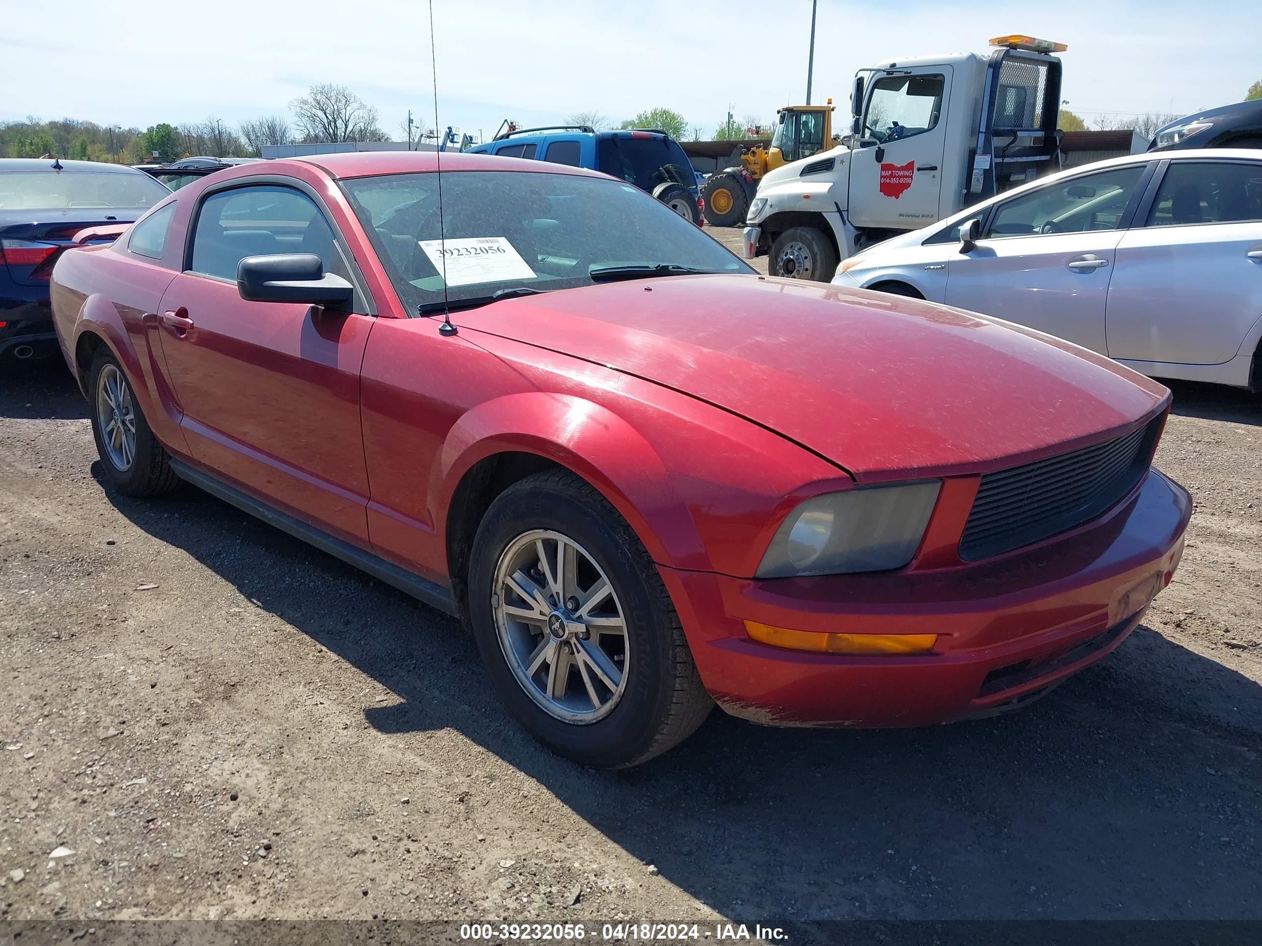 FORD MUSTANG 2005 1zvft80n655159317