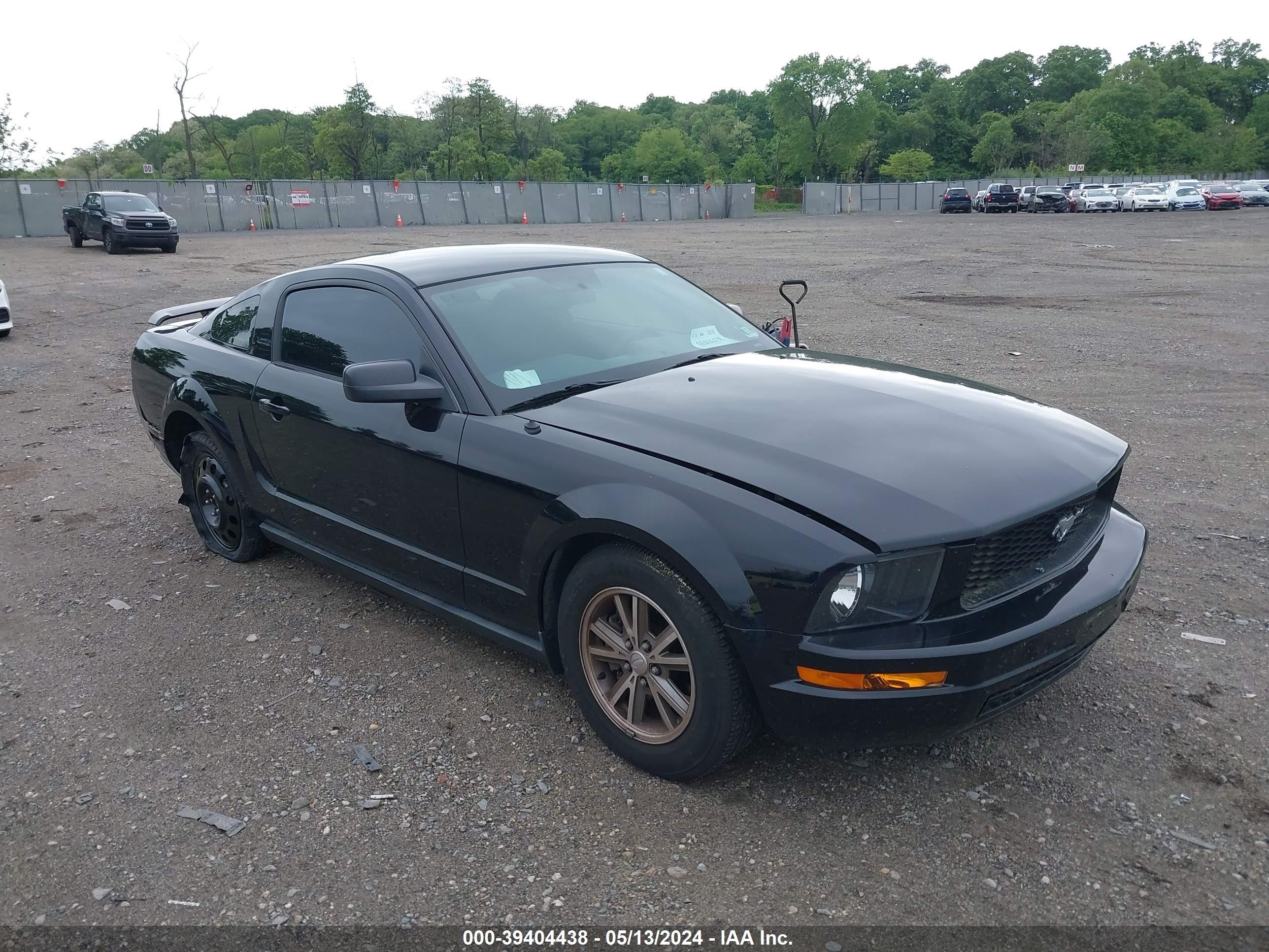 FORD MUSTANG 2005 1zvft80n655162086