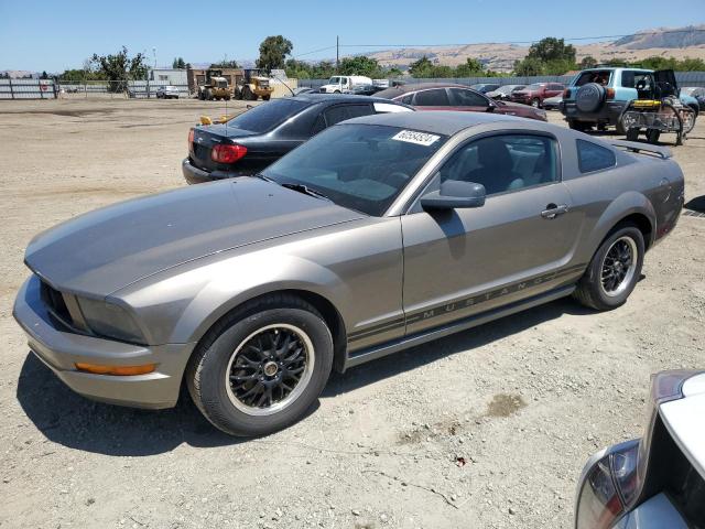 FORD MUSTANG 2005 1zvft80n655172861