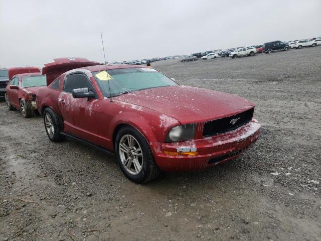 FORD MUSTANG 2006 1zvft80n665108823