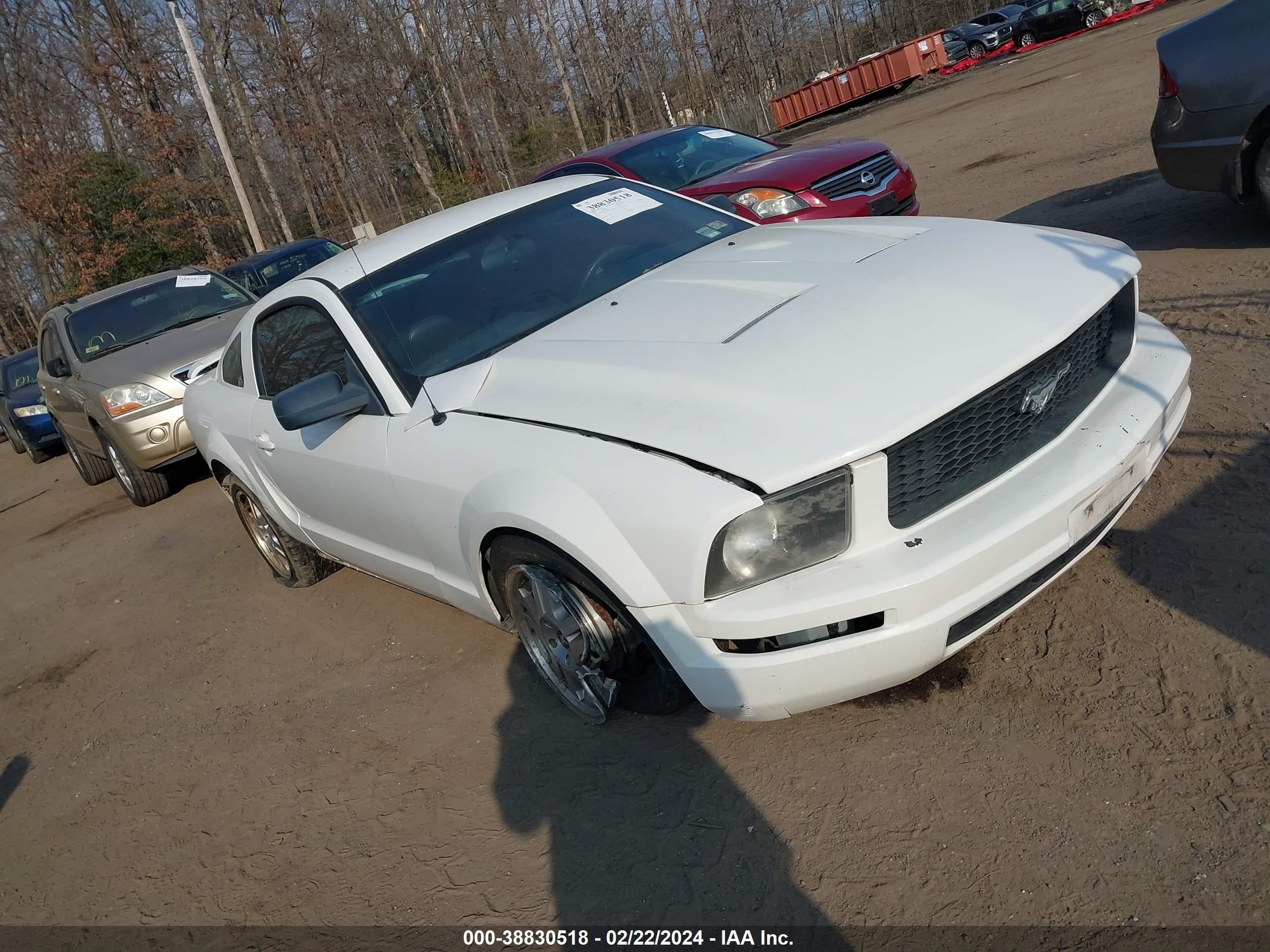 FORD MUSTANG 2006 1zvft80n665163207