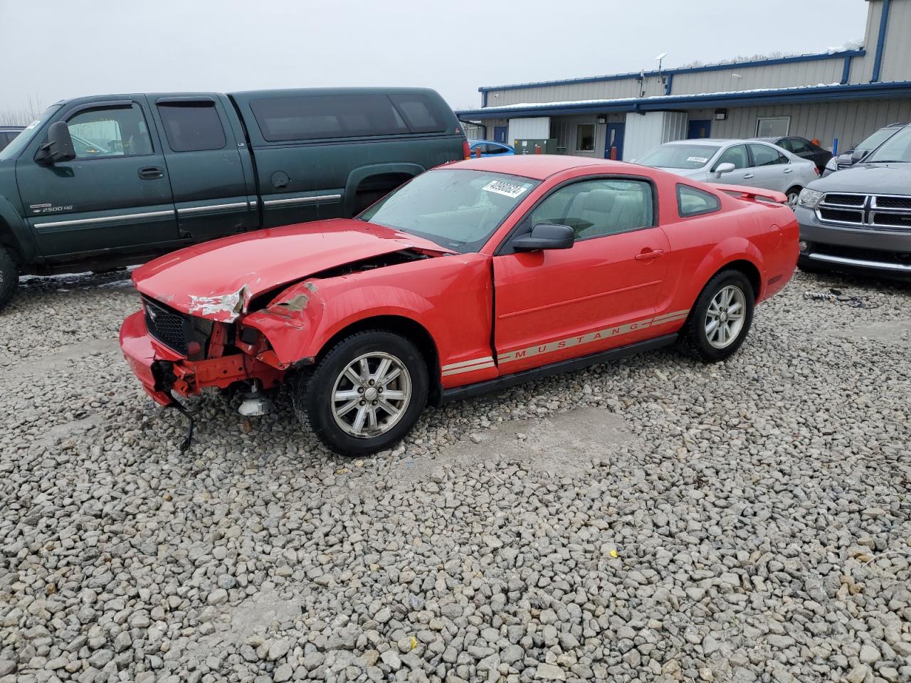 FORD MUSTANG 2006 1zvft80n665229156