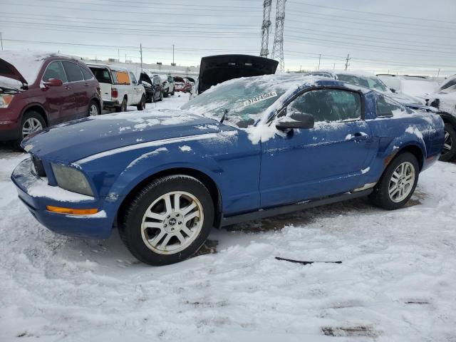 FORD MUSTANG 2006 1zvft80n665232316