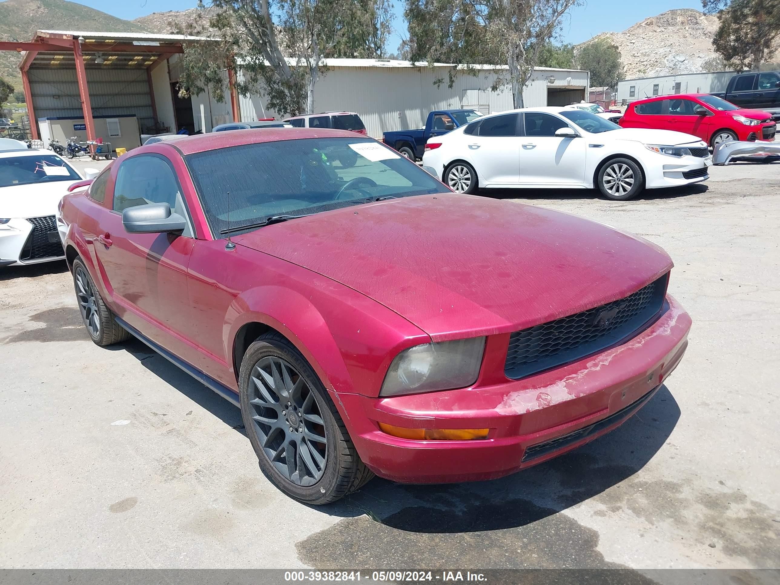 FORD MUSTANG 2006 1zvft80n665245826