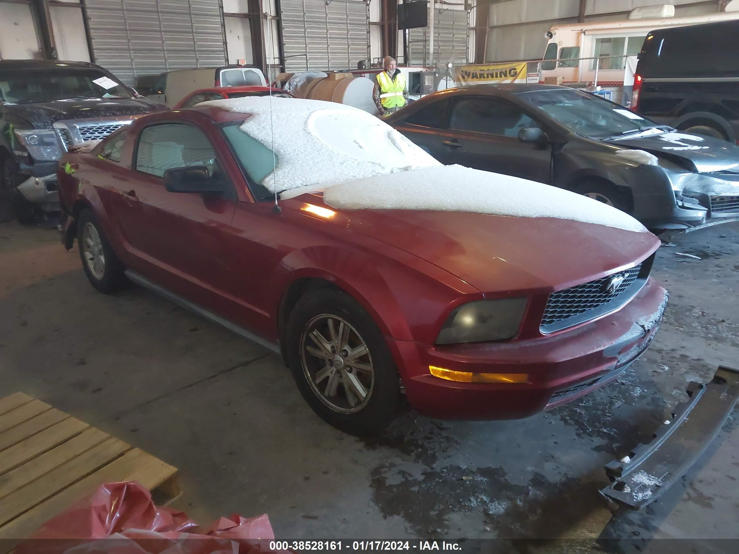 FORD MUSTANG 2007 1zvft80n675318291