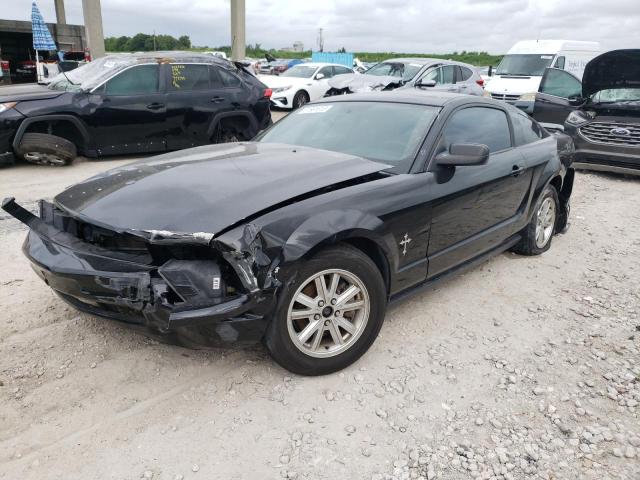 FORD ALL MODELS 2007 1zvft80n675366891