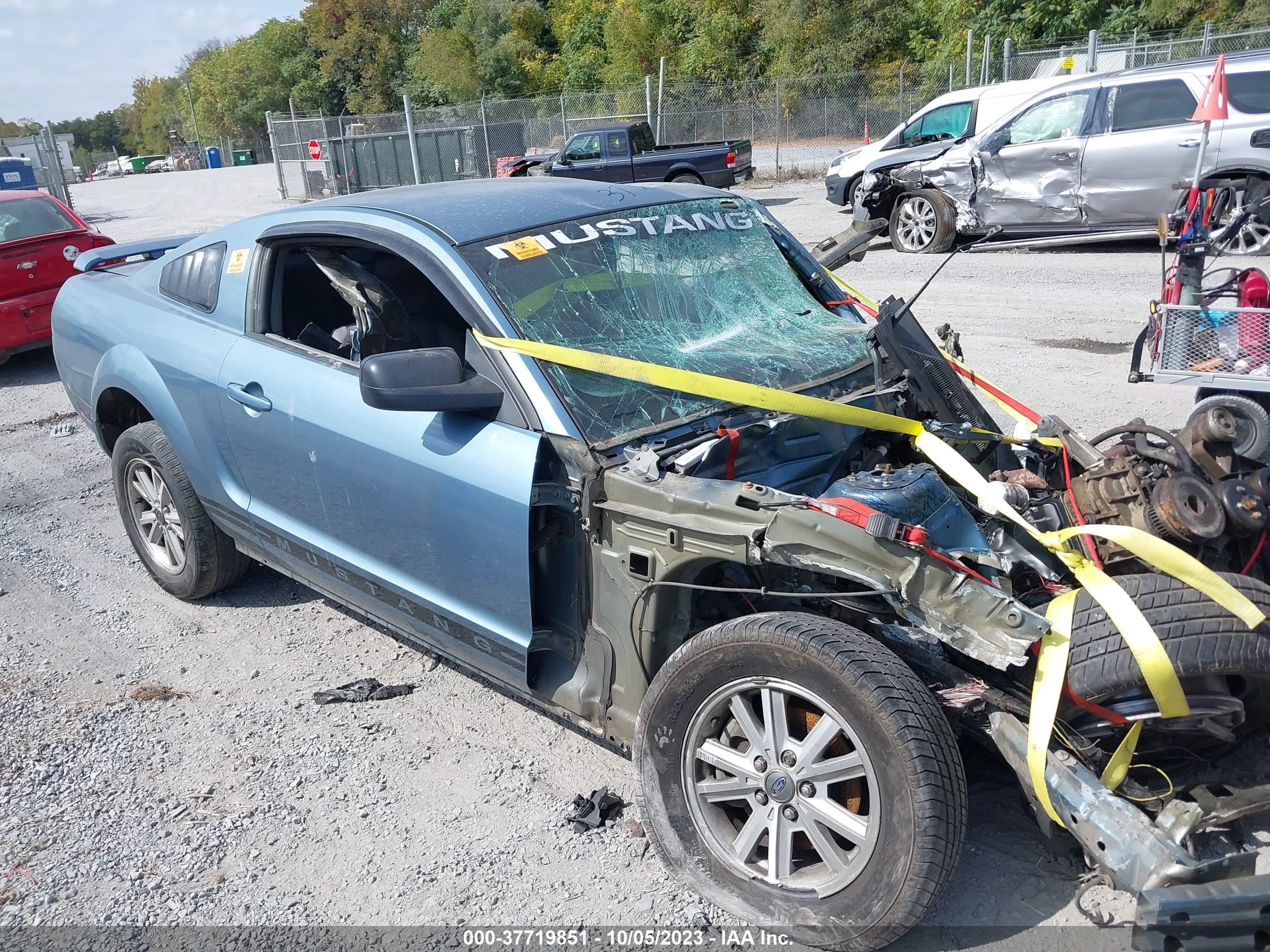 FORD MUSTANG 2006 1zvft80n765153477