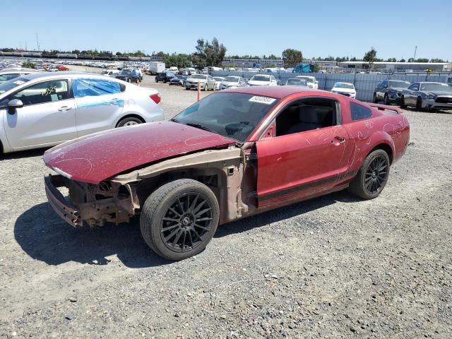 FORD MUSTANG 2006 1zvft80n765173292