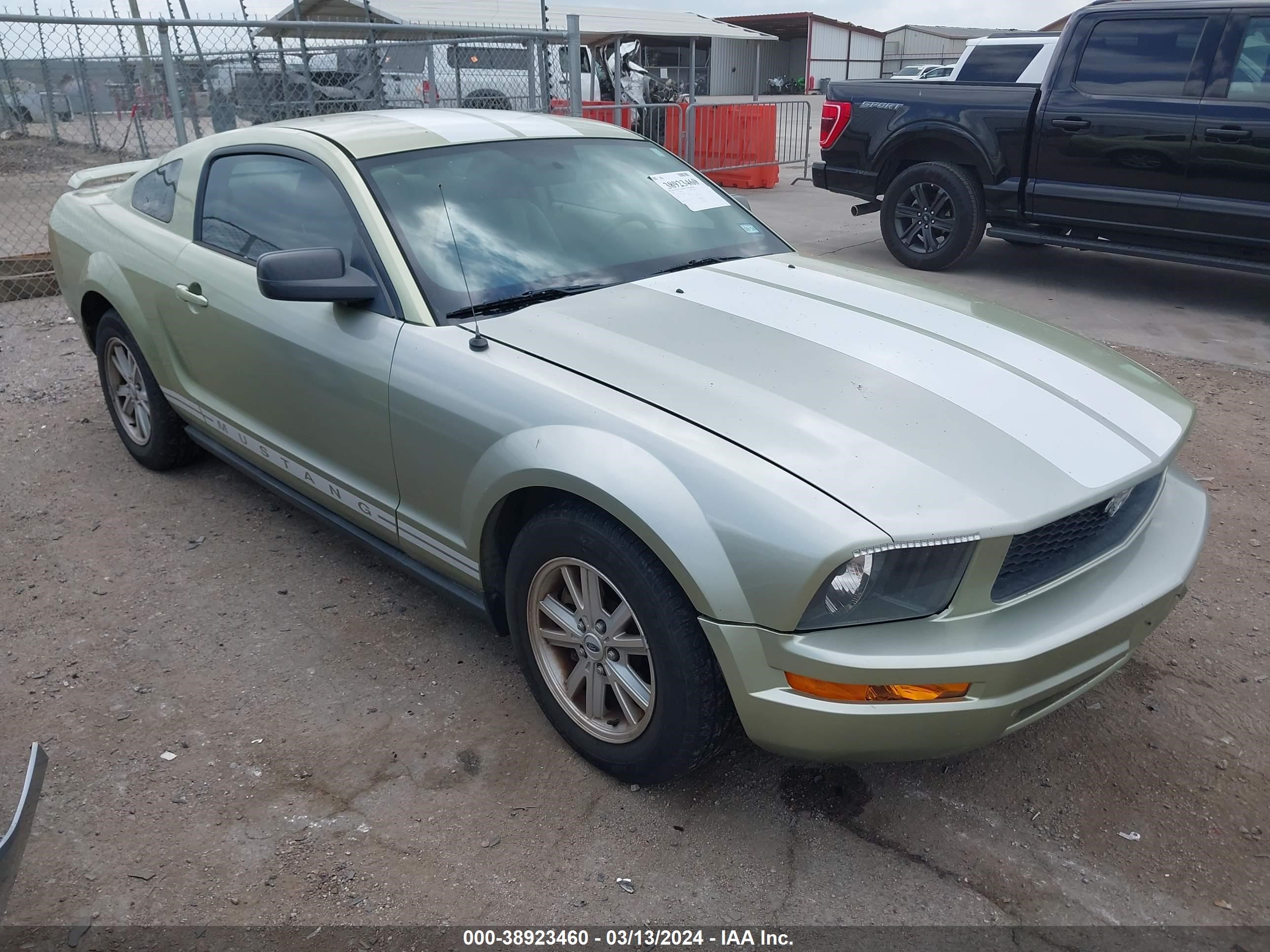 FORD MUSTANG 2006 1zvft80n765259184