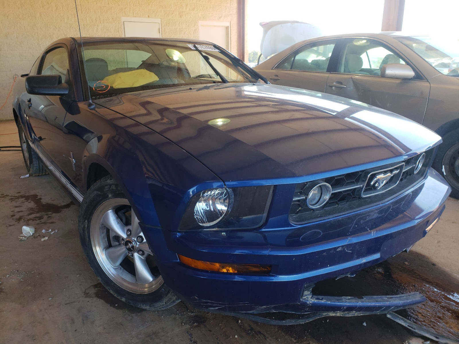 FORD MUSTANG 2007 1zvft80n775363496