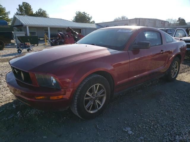 FORD ALL MODELS 2005 1zvft80n855102746