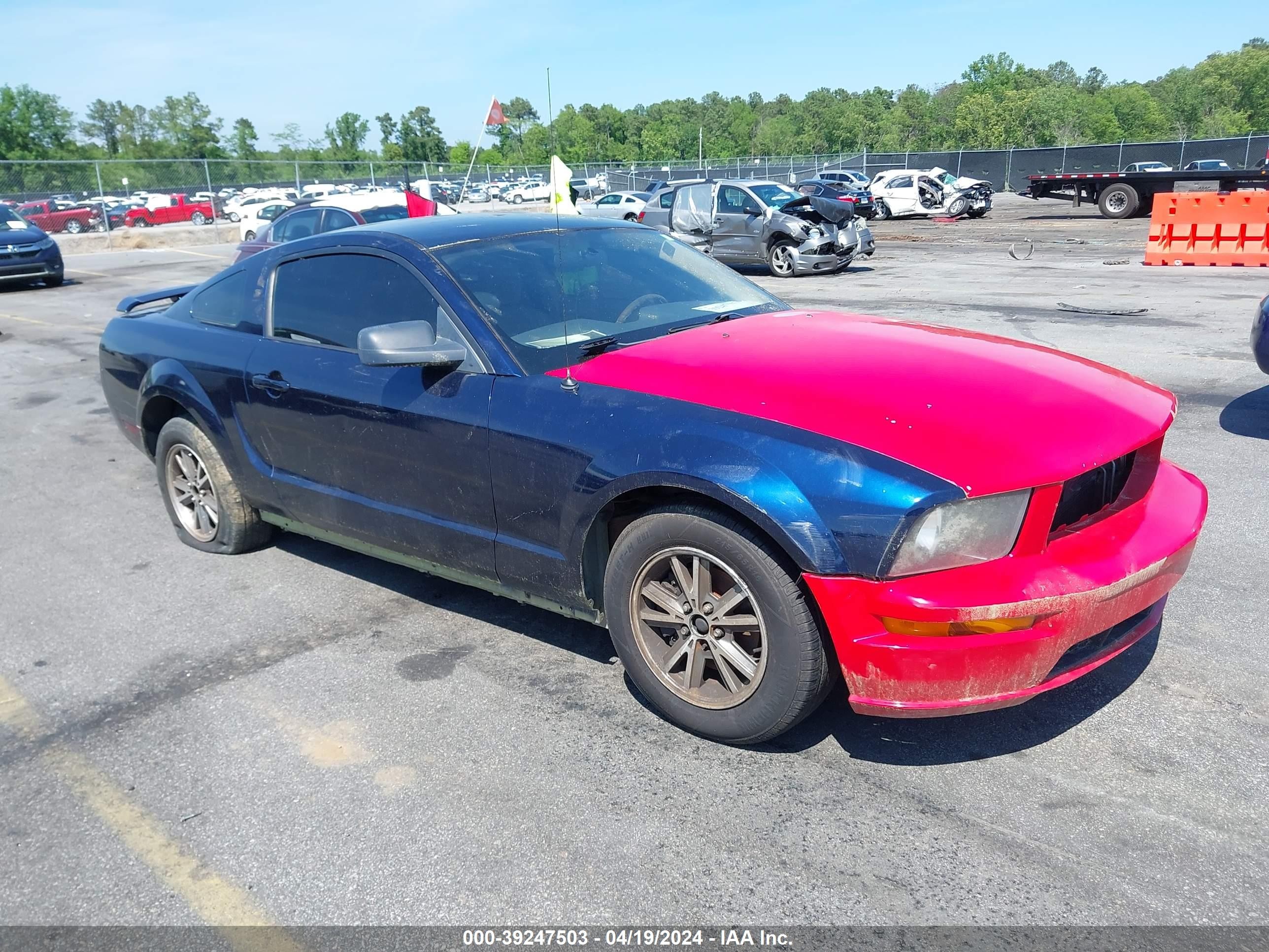 FORD MUSTANG 2005 1zvft80n855120826