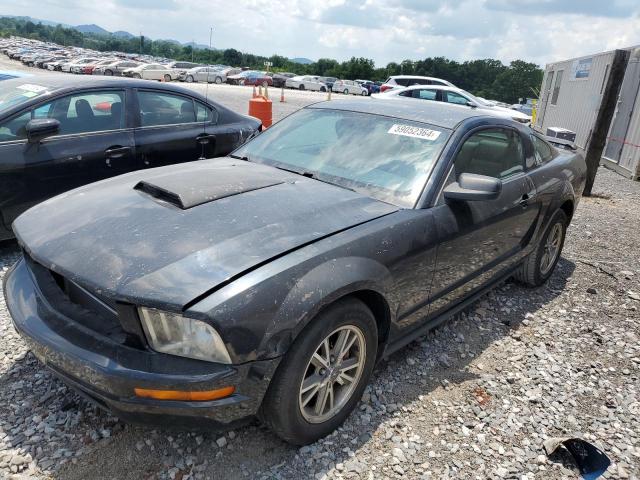 FORD MUSTANG 2005 1zvft80n855120955