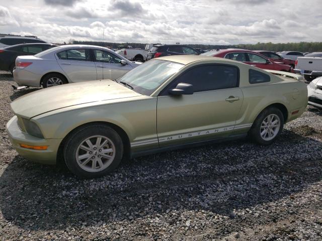 FORD MUSTANG 2005 1zvft80n855139294