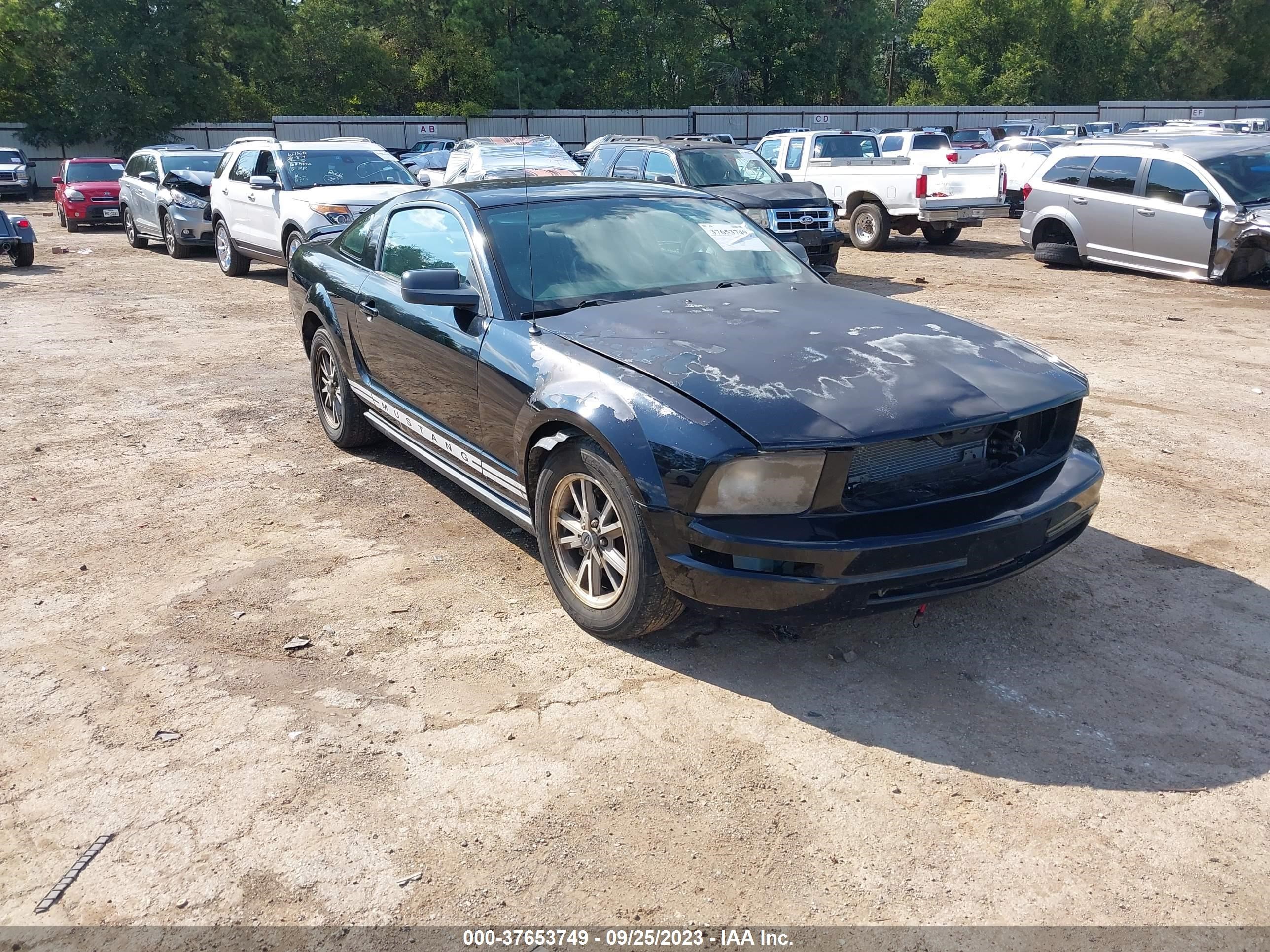 FORD MUSTANG 2005 1zvft80n855142745