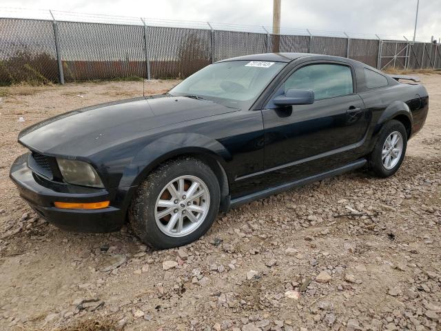 FORD ALL MODELS 2005 1zvft80n855163255