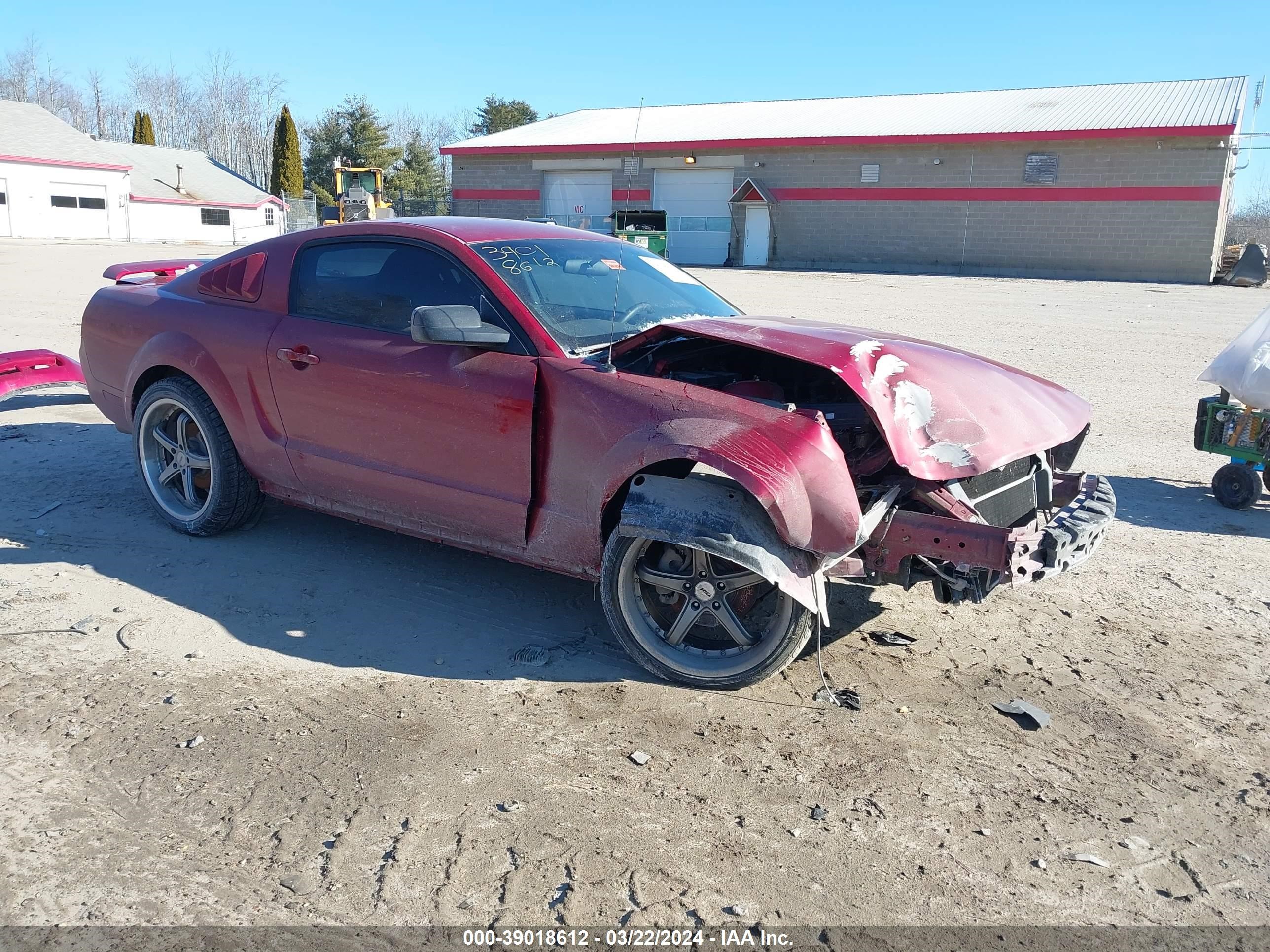 FORD MUSTANG 2005 1zvft80n855171694