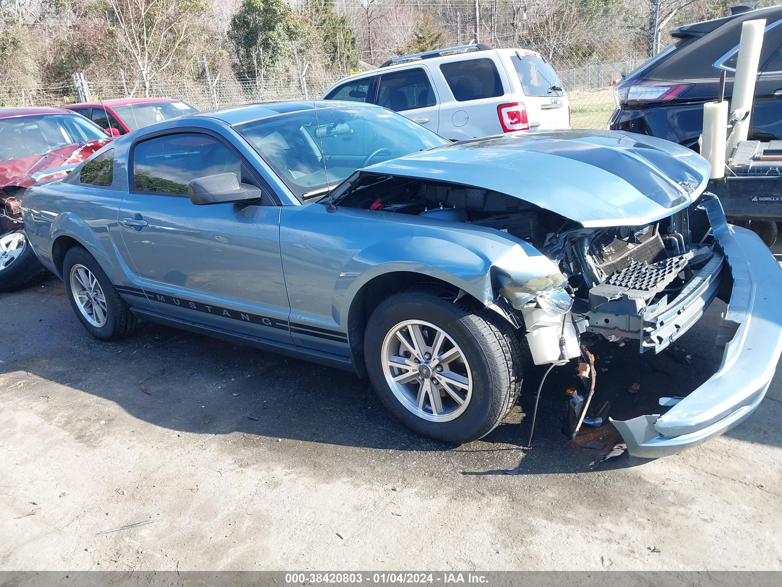 FORD MUSTANG 2005 1zvft80n855174871