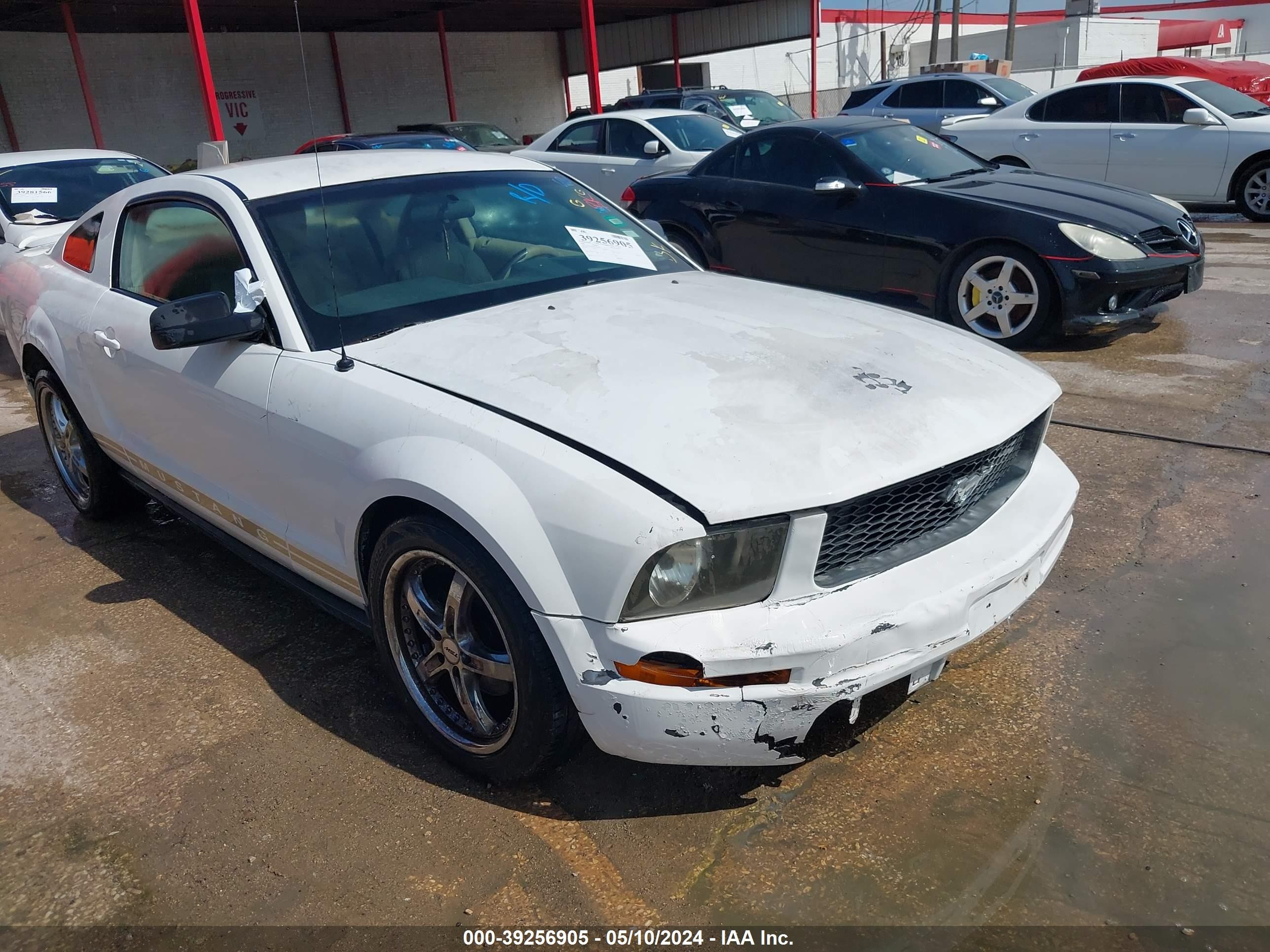 FORD MUSTANG 2006 1zvft80n865125283