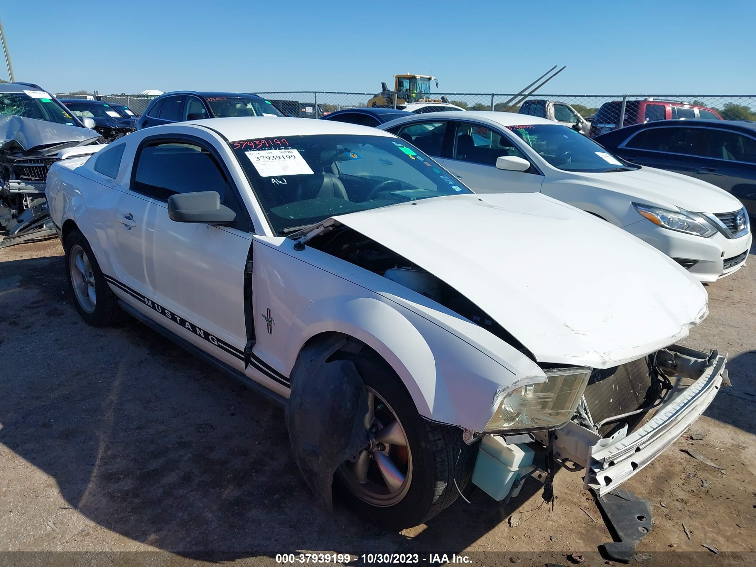 FORD MUSTANG 2006 1zvft80n865157232