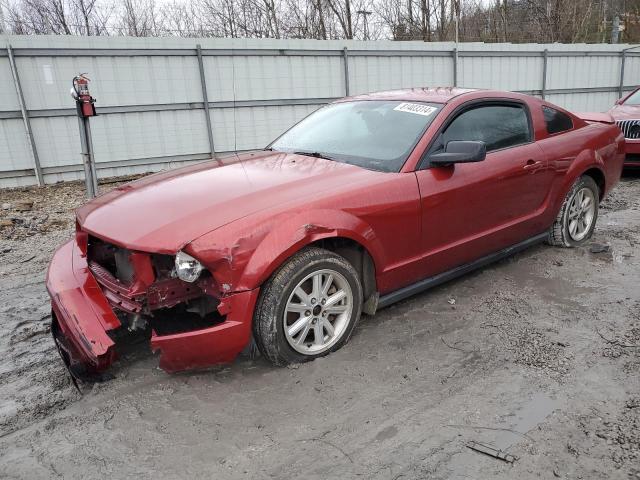 FORD MUSTANG 2006 1zvft80n865219566