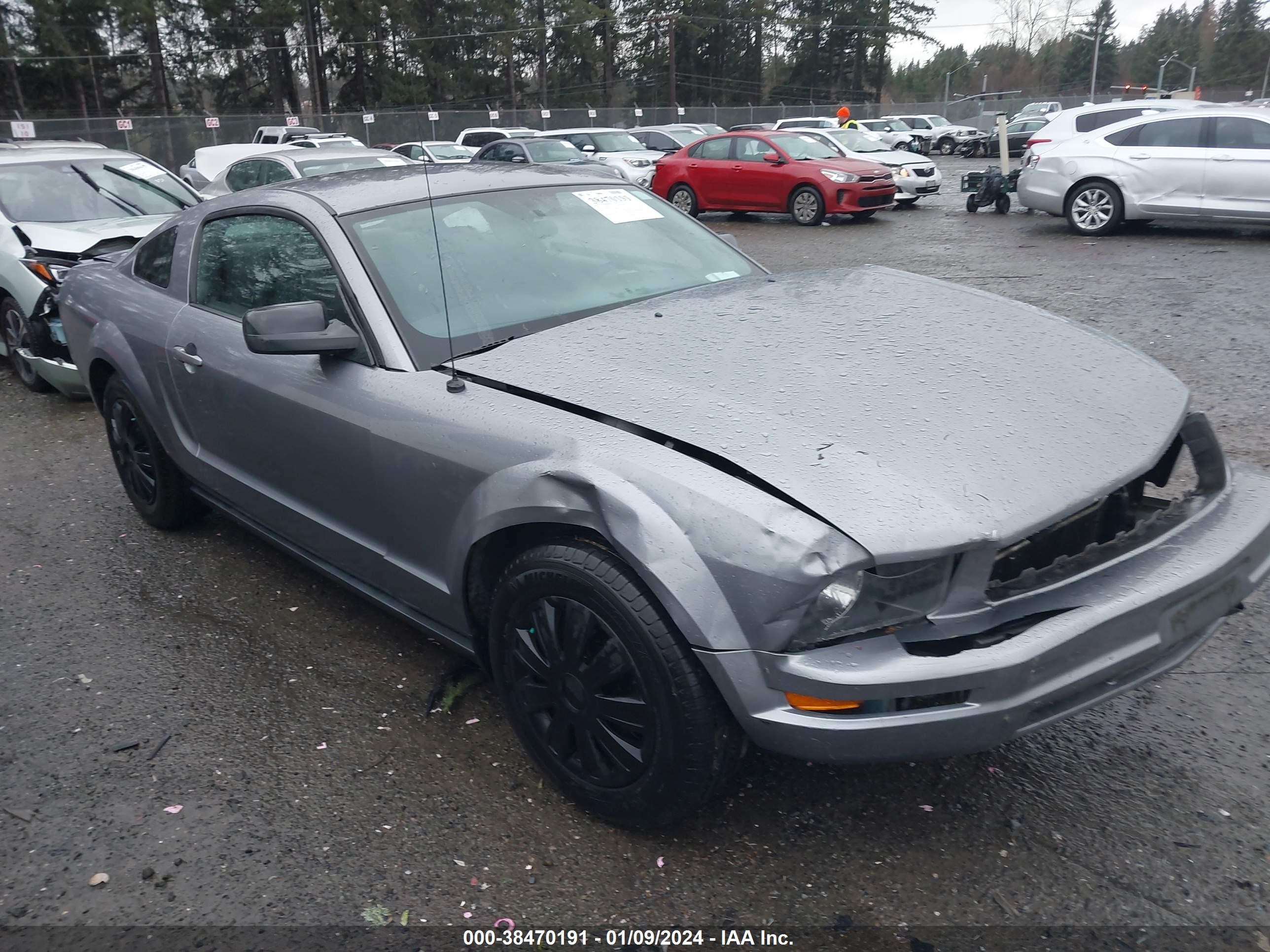 FORD MUSTANG 2006 1zvft80n865265916