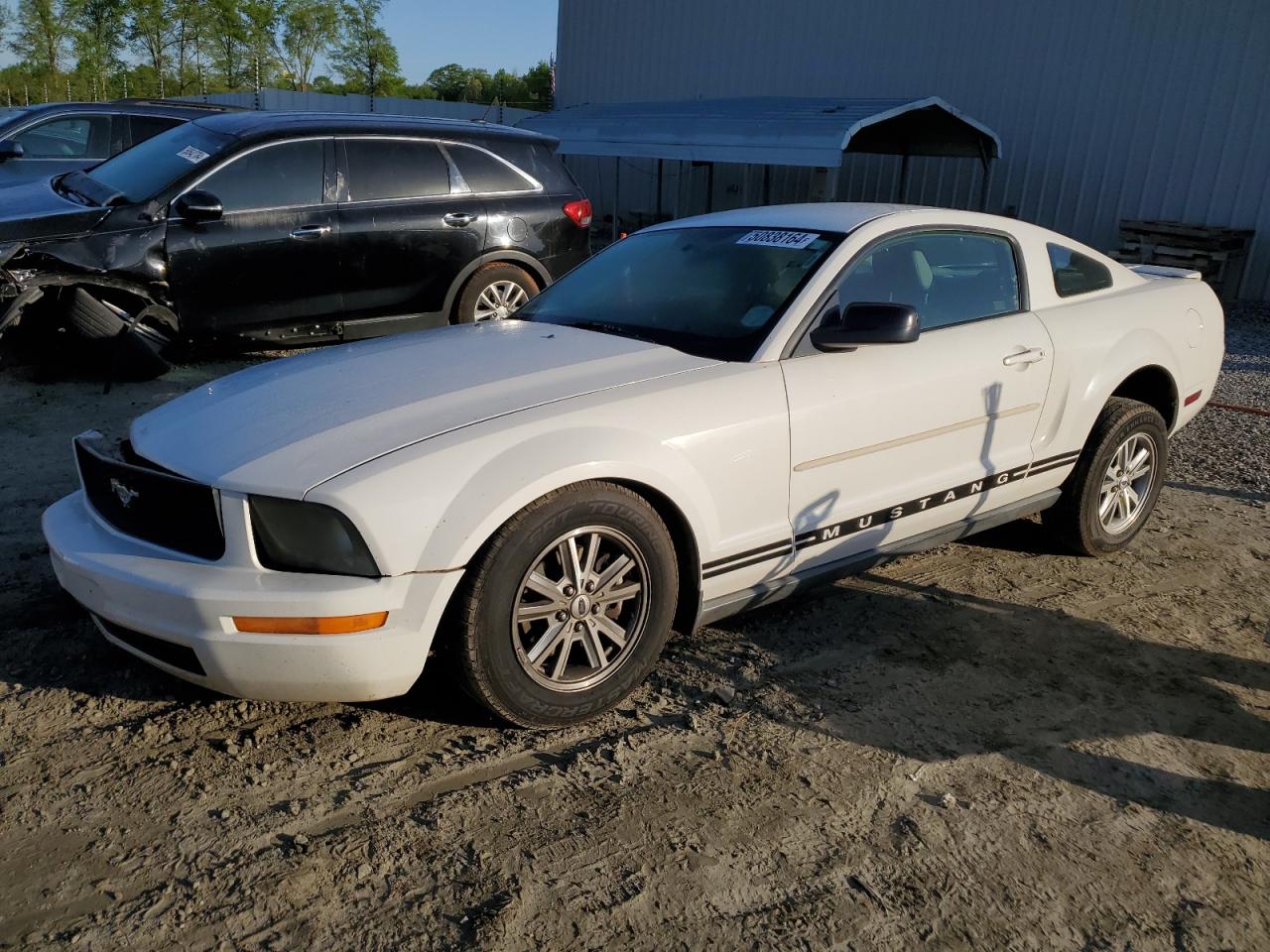 FORD MUSTANG 2007 1zvft80n875318163