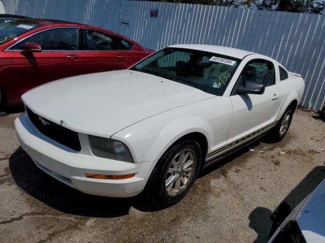 FORD MUSTANG 2007 1zvft80n875356704