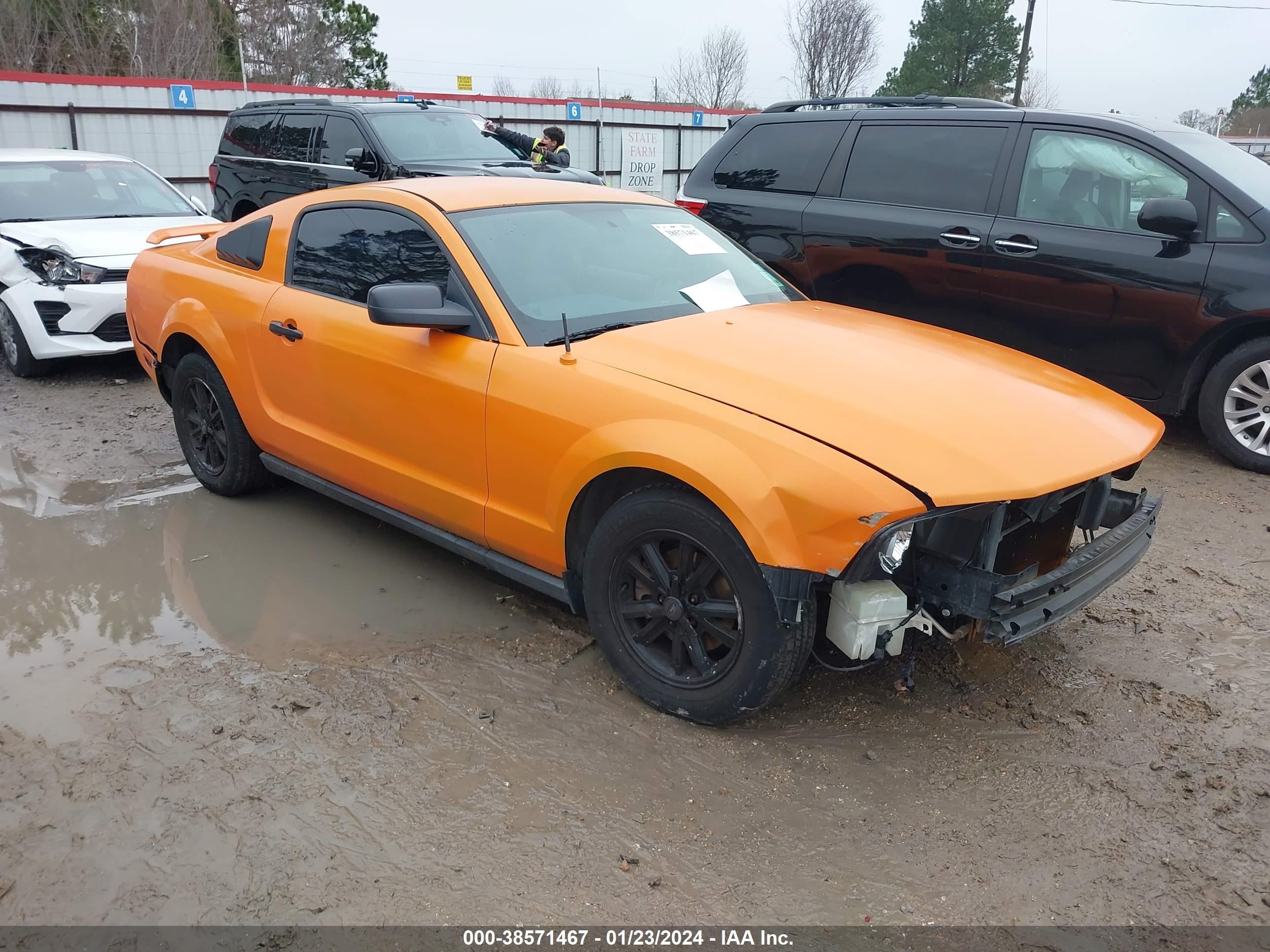 FORD MUSTANG 2005 1zvft80n955107244