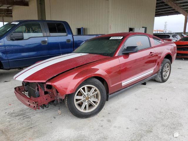 FORD MUSTANG 2005 1zvft80n955119409