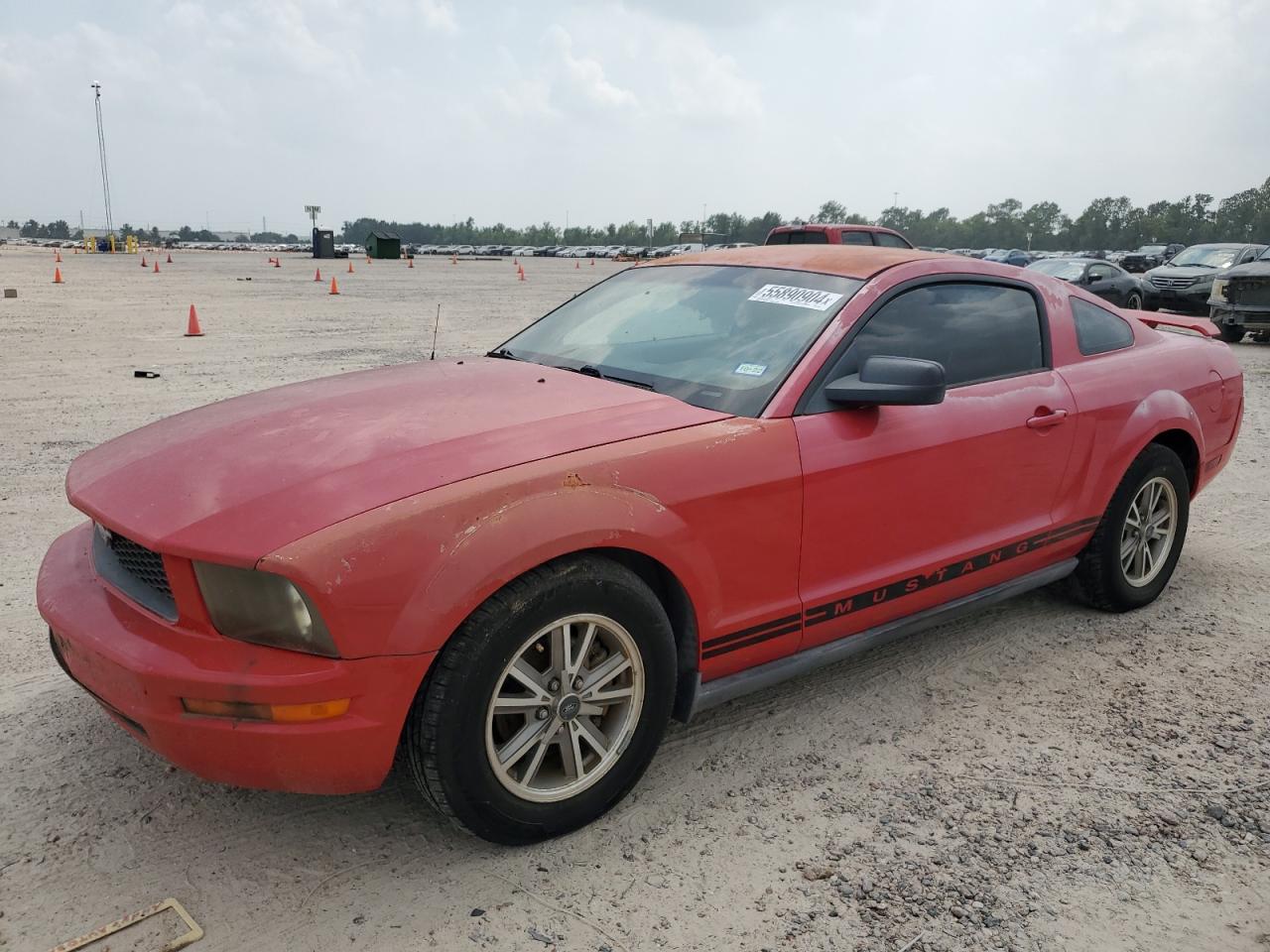 FORD MUSTANG 2005 1zvft80n955133018