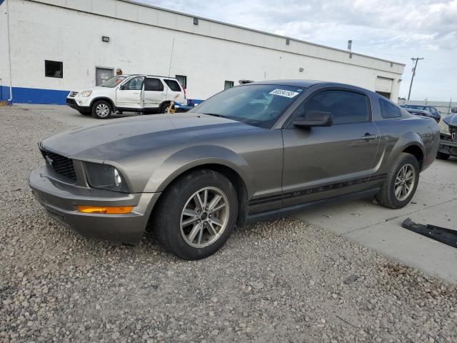 FORD MUSTANG 2005 1zvft80n955143287